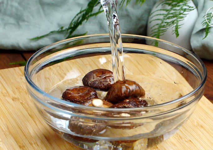 [The Fillings] Step 2