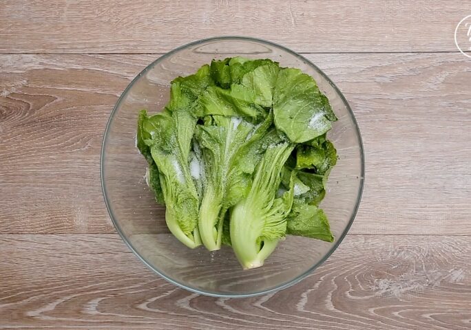 [DIY Mustard Green] Step 1