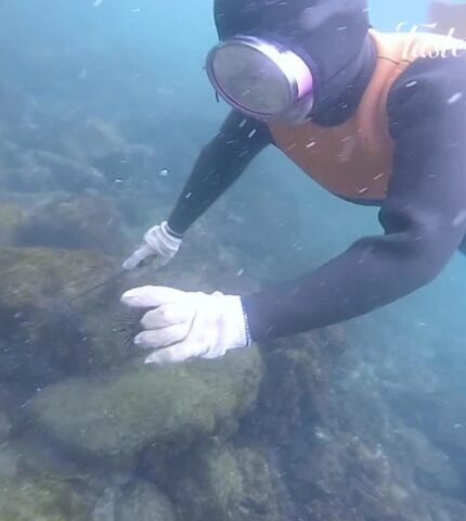 Dive In like a Haenyeo in Jeju, South Korea