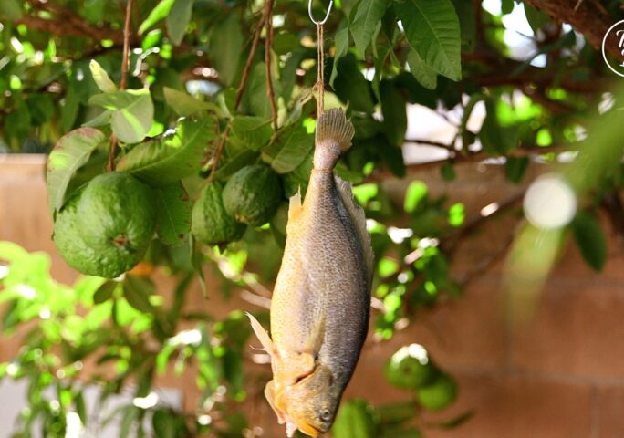 [How to make salted fish] Step 4