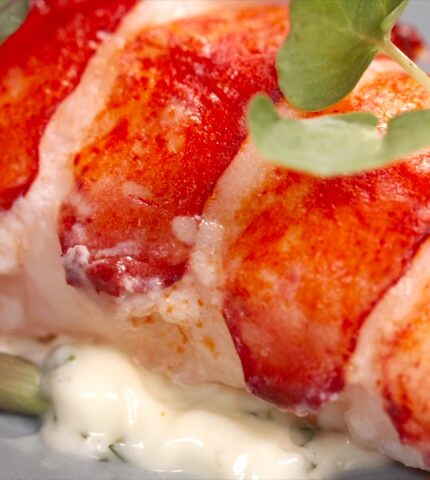 Butter-Poached Lobster Tails and White Asparagus Purée