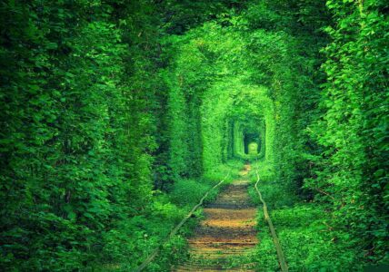 Tunnel of Love – Ukraine with Beautiful Relaxing Music