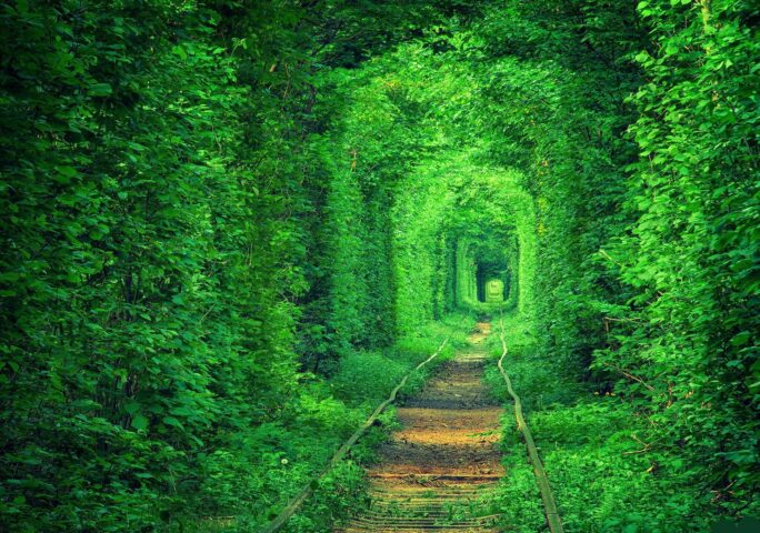 Tunnel of Love – Ukraine with Beautiful Relaxing Music