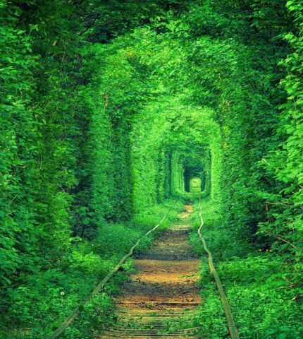 Tunnel of Love - Ukraine with Beautiful Relaxing Music