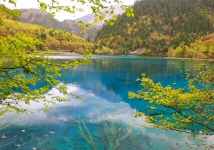 Beautiful Relaxing Music for Stress Relief | Mountain Peace