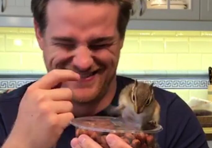 Chipmunk Frantically Tries to Open Box of Nuts