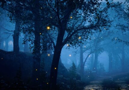 Relaxing Music & Rain Sounds | The Sound of Rain Falling in a Foggy Forest