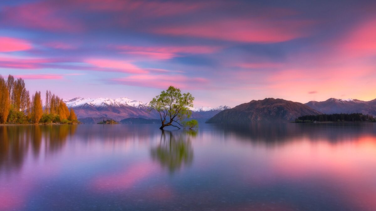 New Zealand – AMAZING Beautiful Nature with Relaxing Music ...