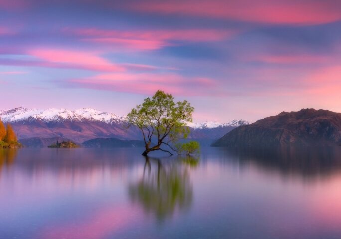 New Zealand - AMAZING Beautiful Nature with Relaxing Music & Soundscapes