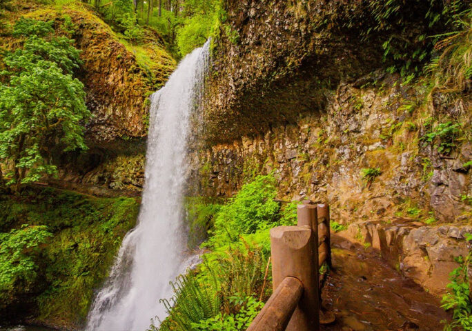 Forest Walk along the Trail of Ten Falls