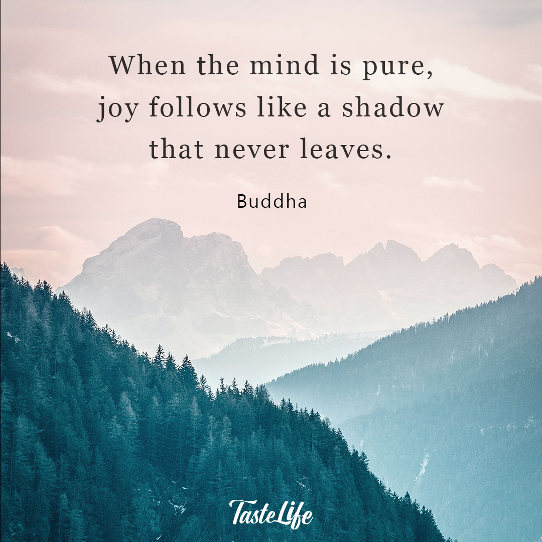 Shadow Rejoicing Pure Joy Quotes Consider It Pure Joy, My Brothers And Sisters,