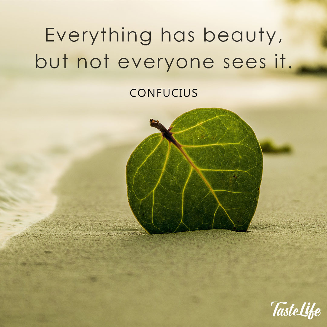 Everything has beauty, but not everyone sees it. – Confucius | Taste Life, image size:1080x1080