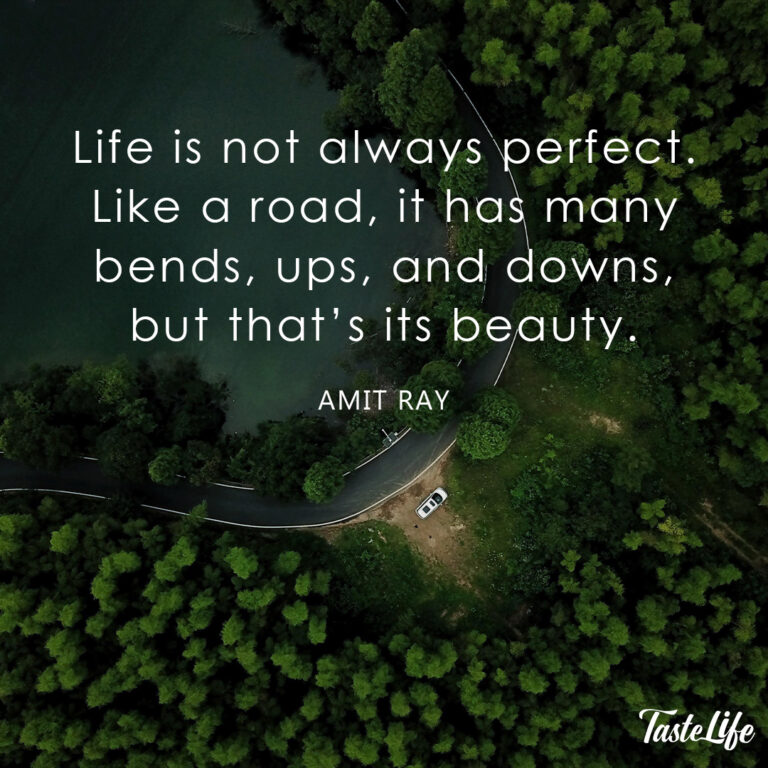 Life is not always perfect. Like a road, it has many bends, ups, and downs, but that’s its beauty. – Amit Ray