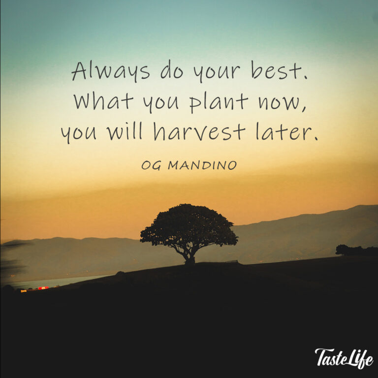 Always do your best. What you plant now, you will harvest later. – Og Mandino