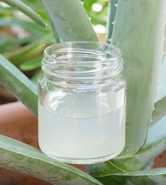 How to Make Aloe Vera Gel at Home From Scratch